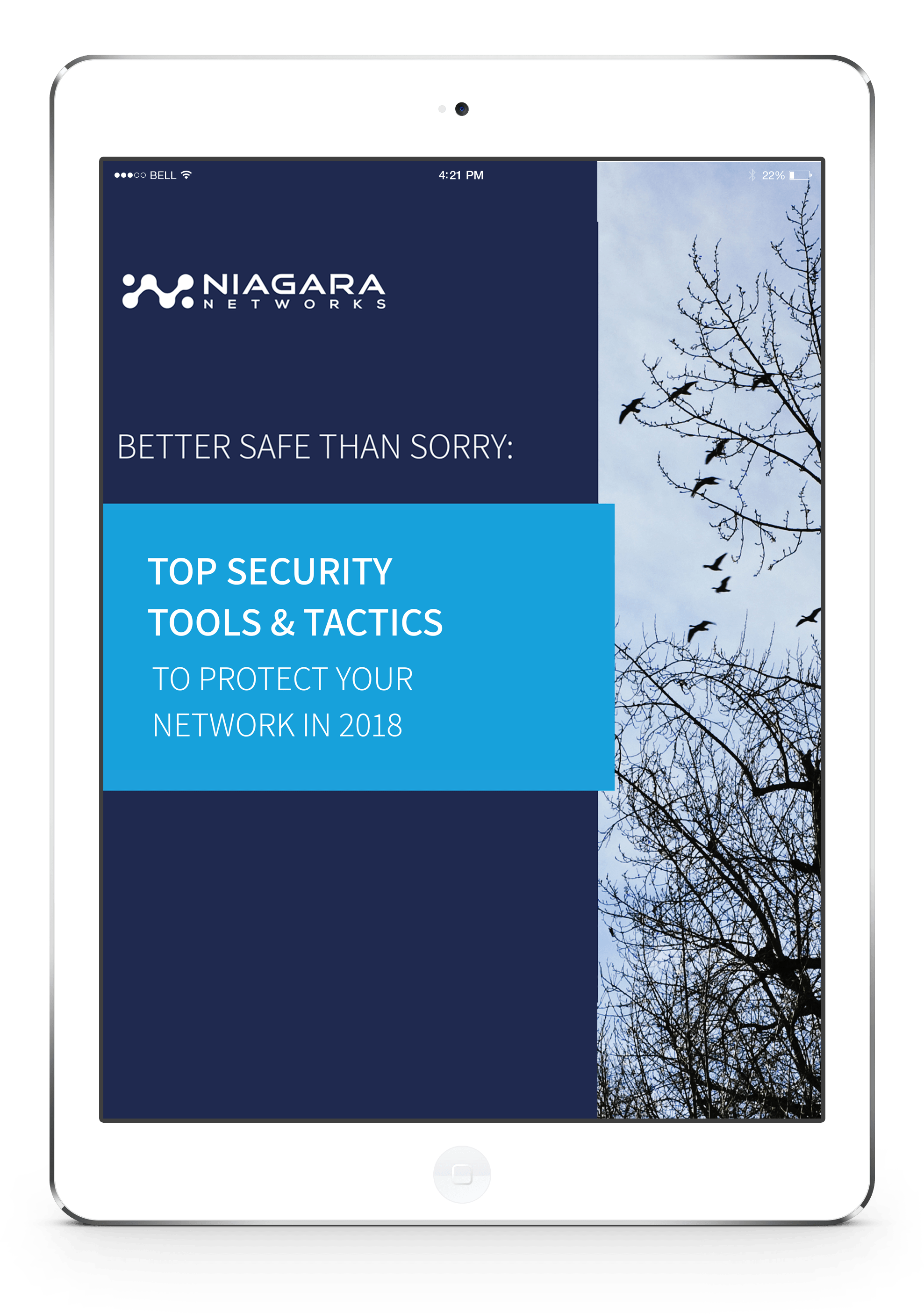 top-security-tools-and-tactics-to-protect-your-network